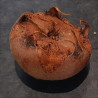Medlar - Bruss en Vrucht - Scion