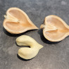 10 x Fresh 2025 Heartnut (Juglans ailantifolia var. cordiformis) Seeds